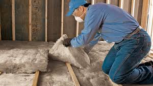 Best Eco-Friendly or Green Insulation Solutions  in Martins Ferry, OH